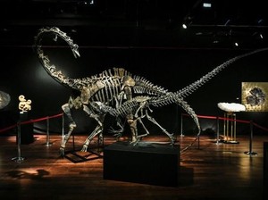 Video Wujud 3 Fosil Dinosaurus Jurassic yang Terjual Rp 251 M
