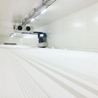 (midsweden365/Instagram)