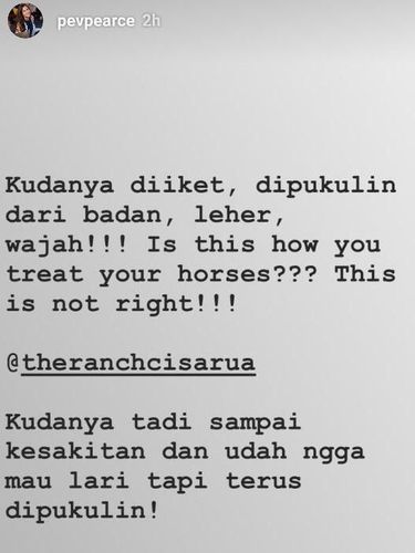 Viral Video Kuda Dipukuli dan Disiksa di Tempat Wisata
