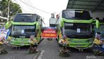 Bus Mewah Scania dan Mercedes-Benz PO Gunung Harta