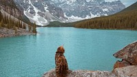 Kenalin, nama kucing ini Suki, dia memang suka traveling. Ini potret Suki saat berada di Danau Moraine, Kanada. (sukiicat/ Instagram)