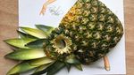 Keren! Lukisan Wanita Ini Diberi Baju dari Susunan Buah dan Kulitnya