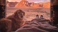 Kemping sembari menikmati pemandangan Red Rock Canyon, Las Vegas semakin asyik ditemani hewan kesayangan ini. (connorrrmorris/ Instagram)