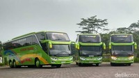 Mereka menghadirkan 2 unit bus Mercedes-Benz Type OC 500 RF 2542 dan 4 unit bus Scania K410 IB 6*2, demi kenyamanan penumpang. Foto: DetikOto/M. Aminudin