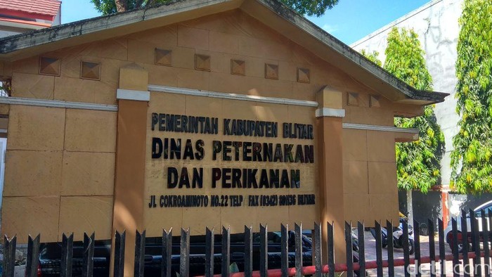 Tujuh Sapi Warga Mati Mendadak, Ini Kata Dinkes Blitar