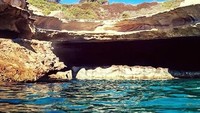 Ayuk, berenang bersama si Titi, anjing lucu yang suka menyelam. Dia bisa kamu temui di di kolam alami St Peters Pool di Malta. (Titti/Facebook)