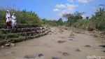 Foto: Menantang Maut! Bocah Cirebon Terobos Sungai untuk Sekolah