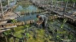 Melihat Pembibitan Mangrove di Muara Angke
