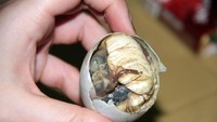 Balut termasuk jenis kuliner esktrem dari Filipina. Tapi anehnya banyak orang yang rela membayar mahal, untuk menikmati telur berisi embrio bebek utuh ini. Foto: Istimewa/iStock
