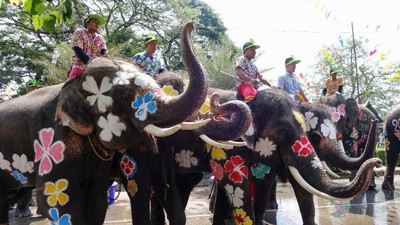 Unik! Tubuh Gajah Dilukis Warna-warni Saat Festival Air di Thailand