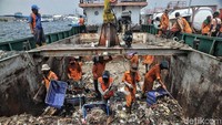Sejumlah pasukan oranye mengangkut sampah di Dermaga Pelabuhan Kali Adem, Muara Angke, Jakarta Utara, Rabu (11/4).
