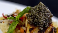 Caviar merupakan makanan mewah yang dikenal memiliki harga fantastis. Caviar merupakan telur ikan, yang dihargai sekitar Rp. 200,000 per gramnya. Foto: Istimewa/iStock