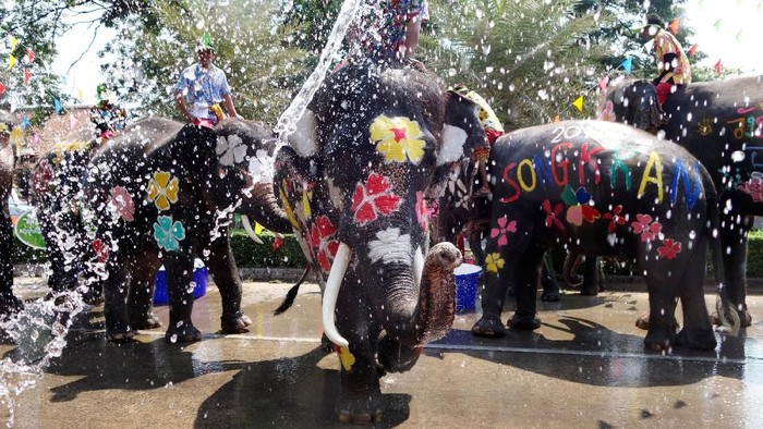 An elephant sprays water to people during the celebration of Songkran Water Festival, to commemorate Thailands New Year in Ayutthaya, Thailand April 11, 2018. REUTERS/Jorge Silva