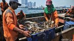 Ini Sampah-sampah yang Diangkut dari Kepulauan Seribu