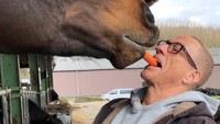 JCVD juga penyanyang binatang lho. Dia sering menghabiskan waktunya bersama anjing kesayangannya. Juga dia dalam Instagtamnya dia memberi makan kuda dan jerapah. (jcvd/ Instagram)