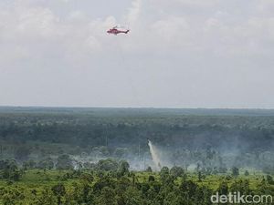 Aktivis Sayangkan Cagub Riau Tak Ada yang Bicara Kebakaran Hutan