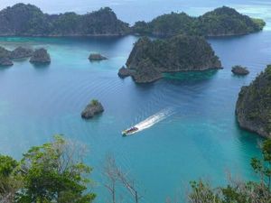 Ini yang Membuat Liburan di Raja Ampat Menyenangkan