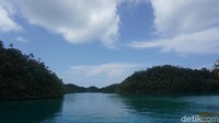 Tetapi, jika sudah di atas. Pemandangannya seakan membayar semua jerih payah. Kalau sedang naik perahu mengelilingi Wayag, arahkan juga pandangan ke segala penjuru, cantik! (Shinta/detikTravel)