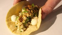 Berasal dari Meksiko, Escamole merupakan sajian yang terdiri dari larva semut. Butirannya menyerupai nasi, dan mirip dengan belatung. Seporsinya makanan ini dihargai satu juta rupiah. Foto: Istimewa/iStock