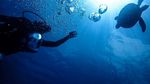 Foto: Gaya Aktor Jefri Nichol Saat Diving