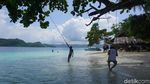 Foto: Asyiknya dTraveler Liburan di Raja Ampat, Bikin Iri Deh