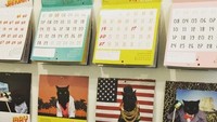 Pembuat kalender ini memberi nama The World’s Most Super Amazing 100% Awesome Cat Calendar. Kalender ini ternyata laris manis di pasaran. Foto: dok. brightside