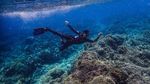 Foto: Gaya Aktor Jefri Nichol Saat Diving