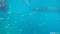 Mioskon, Satu Lagi Tempat Cantik di Raja Ampat