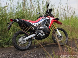 Mulai Rp 3 Jutaan/Bulan, Ini Skema Cicilan dan Harga Honda CRF250 Rally