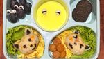 Hari Bawa Bekal Nasional, Intip 10 Bekal Makan Siang Milik Netizen