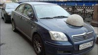 Duh, bisa-bisa kap mobil langsung penyok nih kalau ditimpa batu seperti ini. Foto: Turbo ROTFL