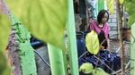 Potret Sulitnya Air Bersih di Muara Kamal