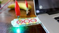 MaKey MaKey GO ini adalah alat yang mengubah semua benda sehari-hari menjadi touchpad. Mulai dari pisang hingga donat bisa jadi mediumnya. Foto: dok. brightside