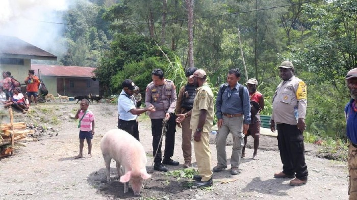Ritual Bakar Batu di Tengah Kampung yang Diduduki KKB Papua