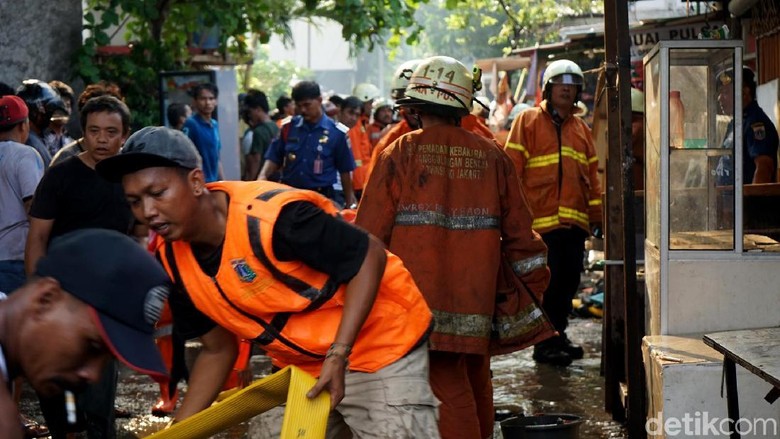 Dapat Laporan Warga, Damkar Buru Ular di Jl Kebayoran Lama Dapat Laporan Warga, Damkar Buru Ular di Jl Kebayoran Lama