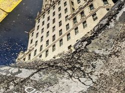 Deretan Foto Refleksi Kece Hasil Jepretan Ponsel