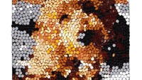 Wah, anjing manis yang terlihat sedang tersenyum ini hanya dibuat dengan permen M&Ms dan permen jelly. Karya ini sengaja dibuat gerai permen asal Amerika untuk dijual. Kemudian uangnya disumbangkan ke berbagai yayasan. Foto: Instagram @dylanscandybar 