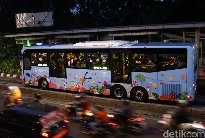 Lucu Badan  Busway  Ini Bergambar Ekosistem Laut