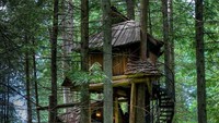 Rumah 7 Kurcaci, British Columbia, terdiri dari 3 gubuk yang saling bertumpuk yang disebut sebagai rumah pohon tertinggi di dunia. Istimewa/brightside.me.