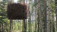 Rumah Pohon Sarang Manusia, Swedia, ini terletak di antara pepohonan di hutan Swedia. Interiornya adalah tiruan sempurna dari sarang burung. Istimewa/brightside.me.