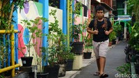Puluhan rumah yang dicat warna-warni itu berada di RW 04, Kelurahan Galur, Kecamatan Johar Baru, Jakarta Pusat.