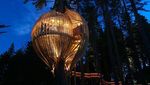 Rumah Pohon Gokil, dari Bentuk UFO Hingga Kamuflase