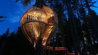 Restaurant in a Tree, Selandia Baru, dapat menampung hingga 18 pengunjung, ditambah koki dan pelayan, dan tidak diragukan lagi adalah salah satu restoran yang paling tidak biasa dan indah di dunia. Istimewa/brightside.me.
