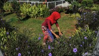 Berbagai tanaman hijau juga ditanam membuat suasana menjadi nyaman.