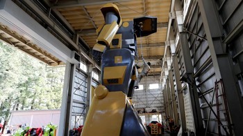 Tampak Mononofu tinggi menjulang. Foto: Reuters