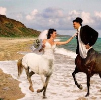 Lagi-lagi editan Photoshop memenangkan momen ini. Foto: Dok. Bored Panda