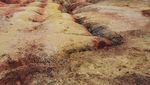 Foto: Bukit Pelangi Nan Ajaib di China