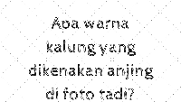Nah sekarang jawab! Apa warna kalung yang dikenakan oleh si anjing pada foto sebelumnya? (Foto: detikcom)