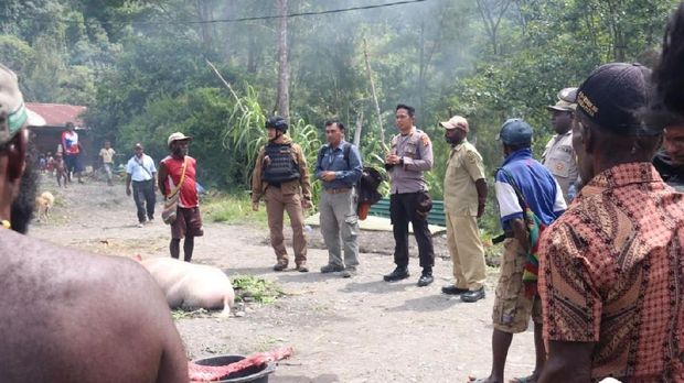TNI-Polri bantu menyumbang babi untuk ritual bakar batu 