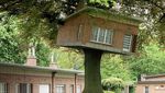 Rumah Pohon Gokil, dari Bentuk UFO Hingga Kamuflase